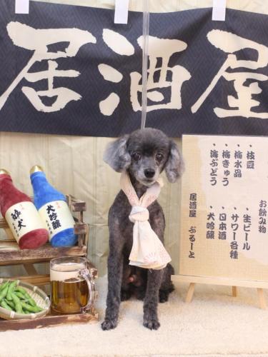 20240608もっぷくん